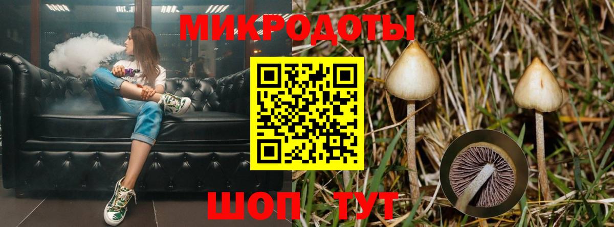 Галлюциногенные грибы прущие грибы  Вход с VPN  Карачаевск  Галлюциногенные грибы GOLDEN TEACHER 