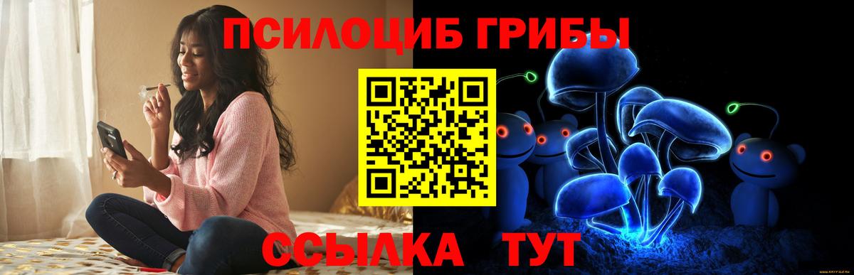 Галлюциногенные грибы ЛСД Карачаевск